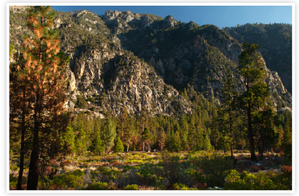 Kings Canyon II (Kings Canyon) by Chris Ryan