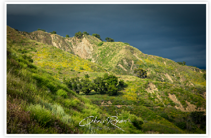 Rock and Tree in Shaded Hillsides