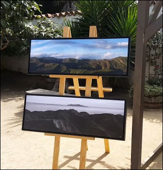 Chris Ryan Two Trees Artwork on Display