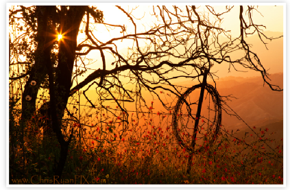 Ventura Hillsides Sunset with Bard Wire
